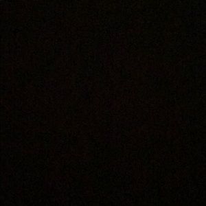 Meet your Posher, Bryson